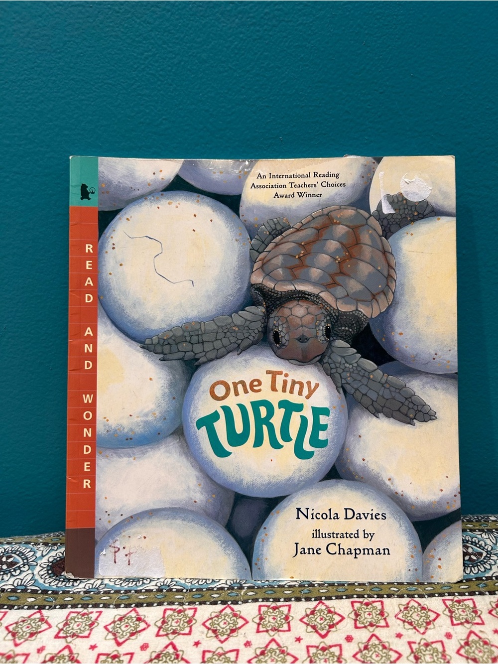 One Tiny Turtle
